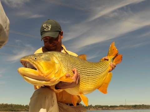 Pesca
